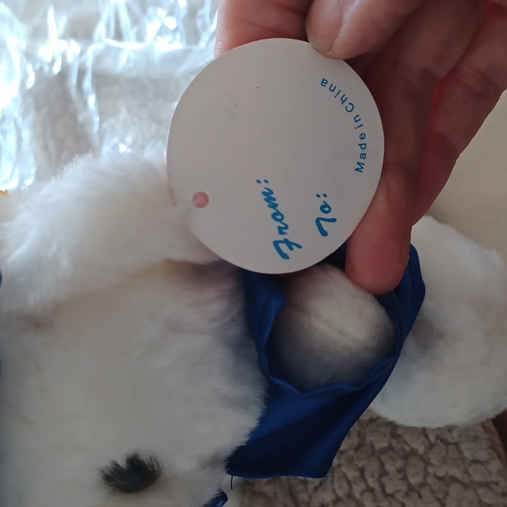 Graduation bear plush white - Picture 8 of 12